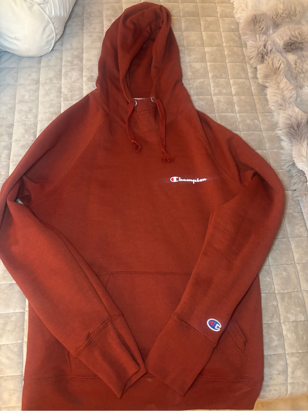 Champion Men's Brick Red Pullover Hoodie